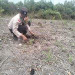 IMG-20260520-WA0044